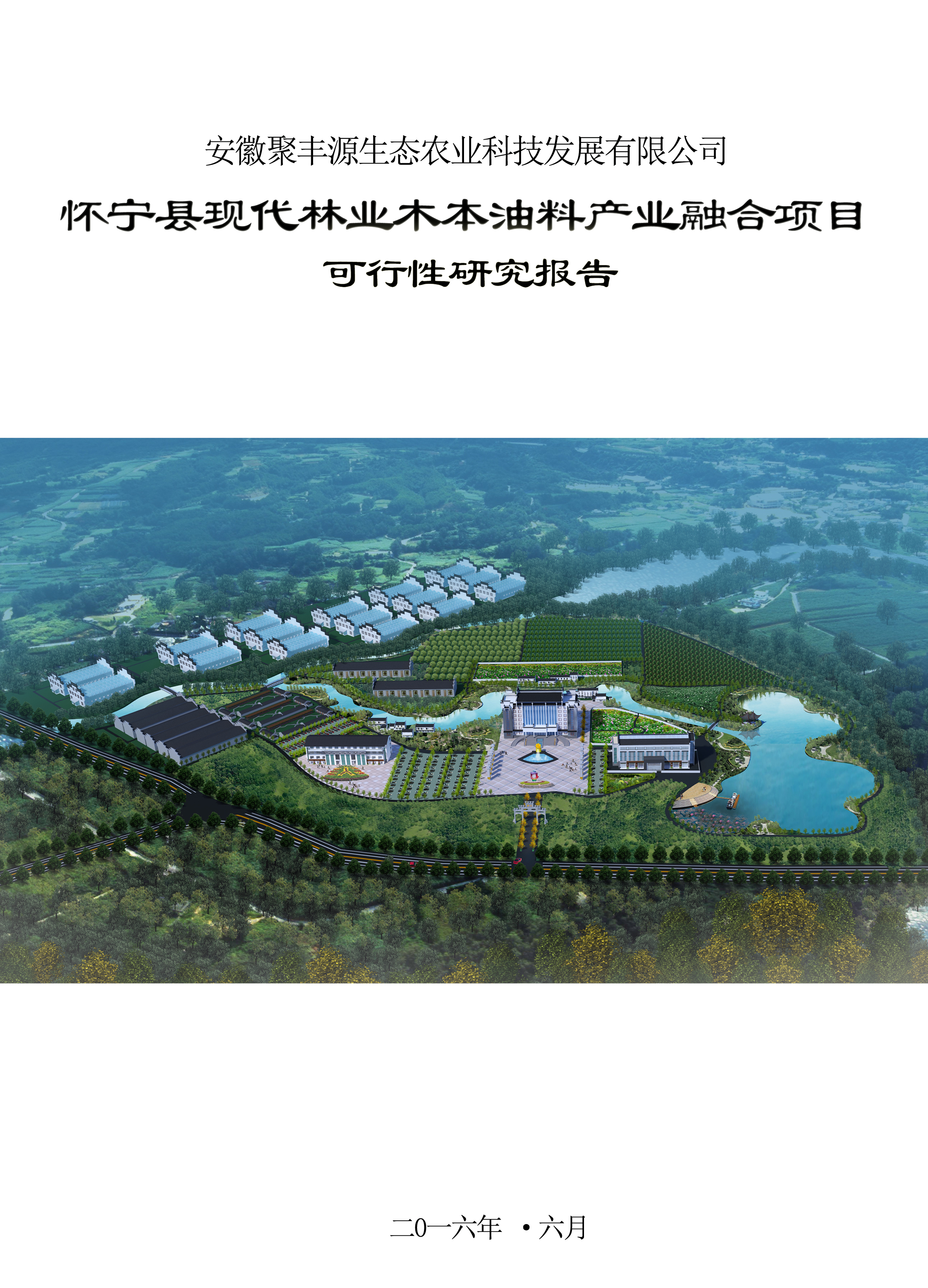 安徽聚丰源农业科技发展有限公司怀宁县现代林业木本油料产业融合项目可行性研究报告1