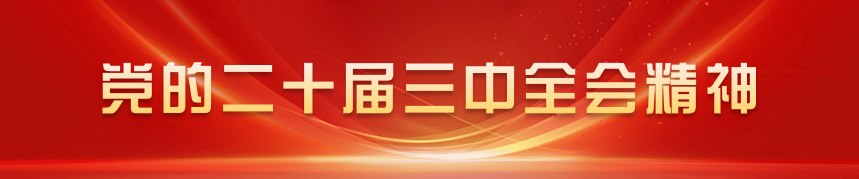 党的二十届三中全会精神