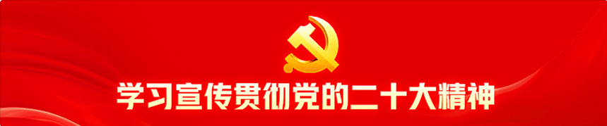 学习贯彻党的二十大精神